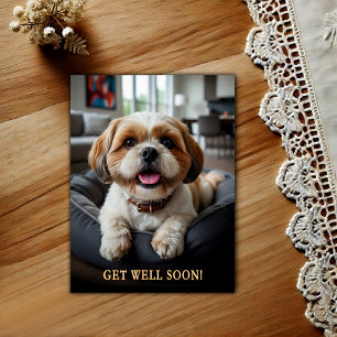 Schattige Shih Tzu Beterschap Ansichtkaart Briefkaart