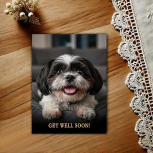 Schattige Shih Tzu Beterschap  Ansichtkaart Briefkaart