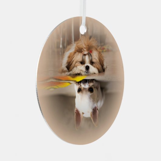 Schattige shih tzu en chihuahua metalen ornament (Voorkant Rechts)