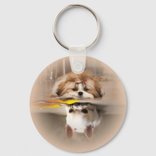 Schattige shih tzu en chihuahua sleutelhanger