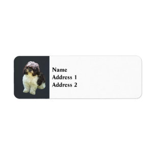 Schattige Shih Tzu Puppy Etiket