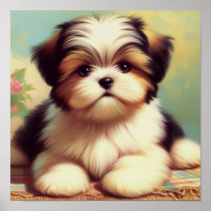 Schattige Shih-Tzu Puppy schilderij Poster