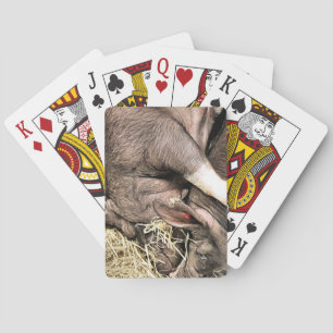 SCHATTIGE SLAPENDE BIGGEN POKERKAARTEN