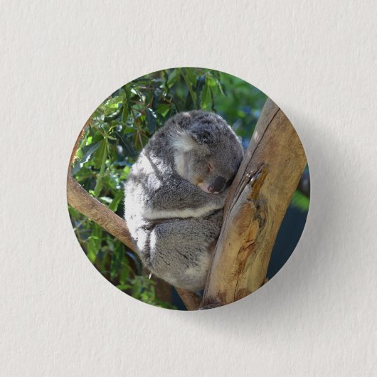 Schattige slapende koala in boom ronde button 3,2 cm (Voorkant)