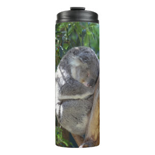 Schattige slapende koala in boom thermosbeker