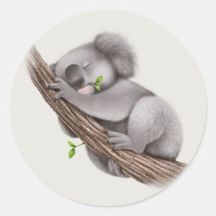 Schattige slaperig Koala Beer Ronde Sticker
