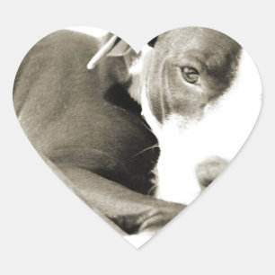schattige slaperige knul hart sticker