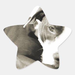 schattige slaperige knul ster sticker