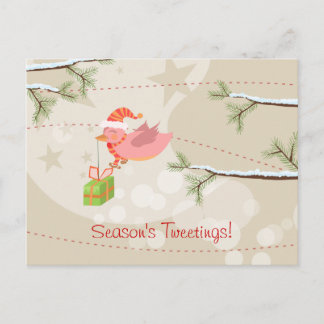 Schattige Snow Bird Christmas-Briefkaart Feestdagenkaart