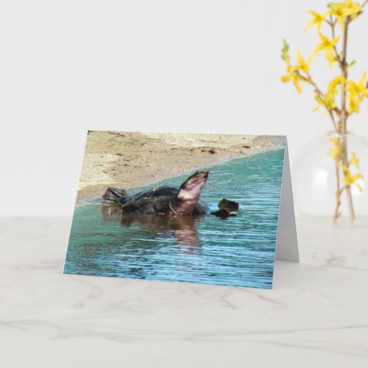 Schattige Soft Shell Turtle Kaart (Gele Bloem)