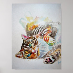 Schattige Spelende Slapende Tabby Kat Katten Poste Poster