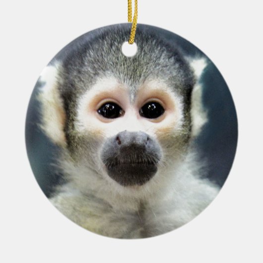 Schattige Spider Monkey Keramisch Ornament (Voorkant)