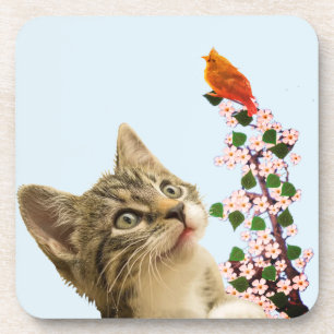 Schattige Tabby Kat & Kleine Vogel op Lichtblauw Bier Onderzetter