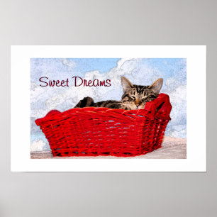 Schattige Tabby Slapende Kitten Rood Mand Photogra Poster