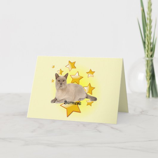 Schattige Tan Birmese kat in de sterren Kaart (Voorkant)