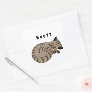Schattige Tan Tabby Kitten Slaapnaamtag Vierkante Sticker
