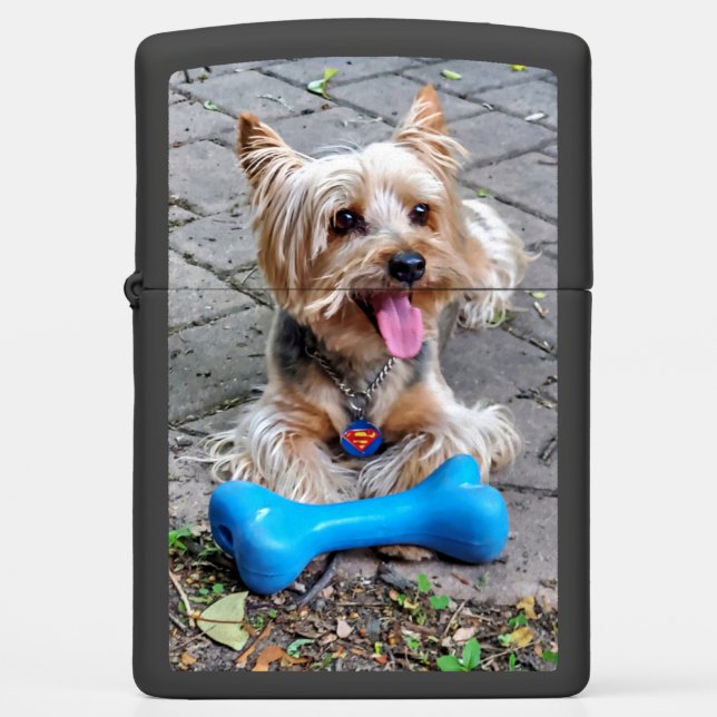 Schattige Terrier (Voorkant)