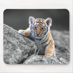 Schattige Tiger Cub Mousepad Muismat