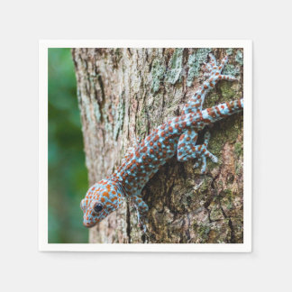Schattige Tokay Gecko Lizard Servet