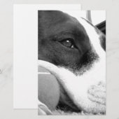 schattige trieste roofhond zwart wit met bal briefpapier (Voorkant / Achterkant)