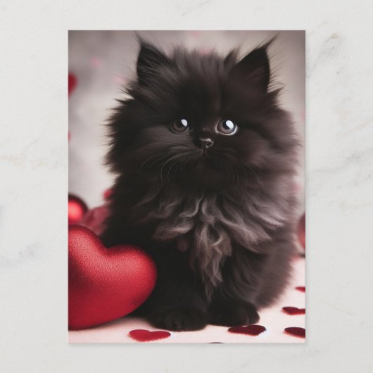 Schattige Valentijn Fluffy Black Kitten Briefkaart (Voorkant)