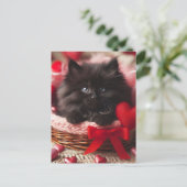 Schattige Valentijn Fluffy Black Kitten in mand Briefkaart (Staand voorkant)