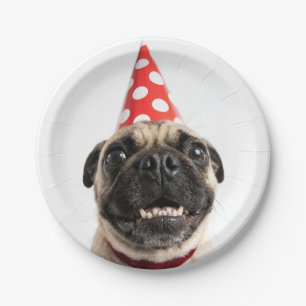 Schattige Verjaardagspug in Rode Feestmuts Papieren Bordje
