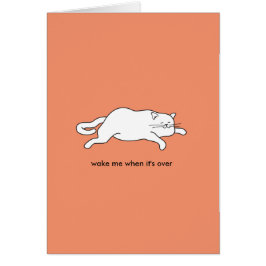 schattige vetkat op een kaart