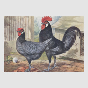 Schattige vintage haan en kip feestje tissuepapier