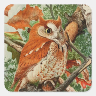schattige vintage uil liefhebbers vierkante sticker