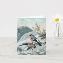 Schattige vogeltje- Bullfinch, Kunst