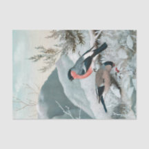 Schattige vogeltje- Bullfinch, Kunst
