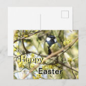 Schattige vogeltje Happy Easter Briefkaart (Voorkant / Achterkant)