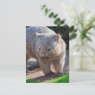 Schattige vrouw briefkaart