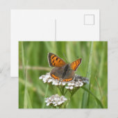 Schattige Vuurvlinder DIY Briefkaart (Voorkant / Achterkant)