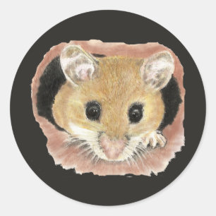 Schattige waterverf zakmuis sticker