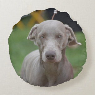Schattige Weimaraner Rond Kussen