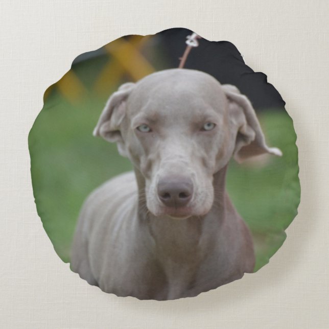 Schattige Weimaraner Rond Kussen (Achterkant)