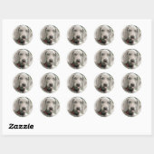 Schattige weimarantaat ronde sticker (Vel)