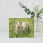 Schattige Wilde Paard DIY Briefkaart (Staand voorkant)