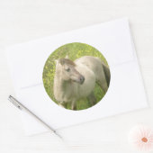 Schattige Wilde Paard Ronde Sticker (Envelop)