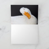 Schattige wit, eend, blanco kaart (Binnen)
