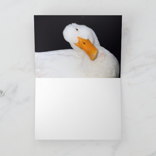 Schattige wit, eend, blanco kaart (Binnen)