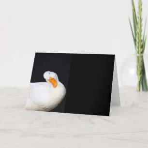 Schattige wit, eend, blanco kaart