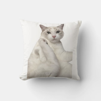 Schattige Witte Kat Maakt Been Schoon Grappige Hui Kussen