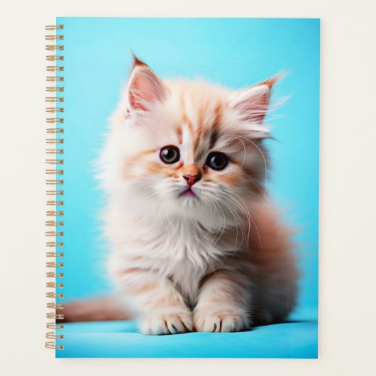 Schattige Witte Kitten Portret-54971 Planner (Voorkant)