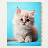 Schattige Witte Kitten Portret-54971 Planner (Achterkant)