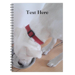 Schattige Witte Labradormengeling Puppy Hond Terug Notitieboek
