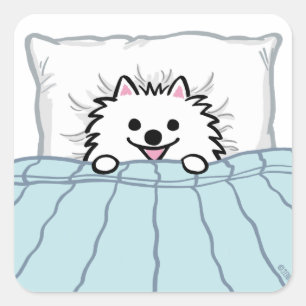 Schattige witte pommerse hond, geplukt in bed vierkante sticker