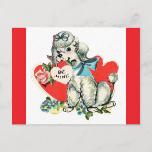 Schattige Witte Poodle Oude Valentijns Postkaart